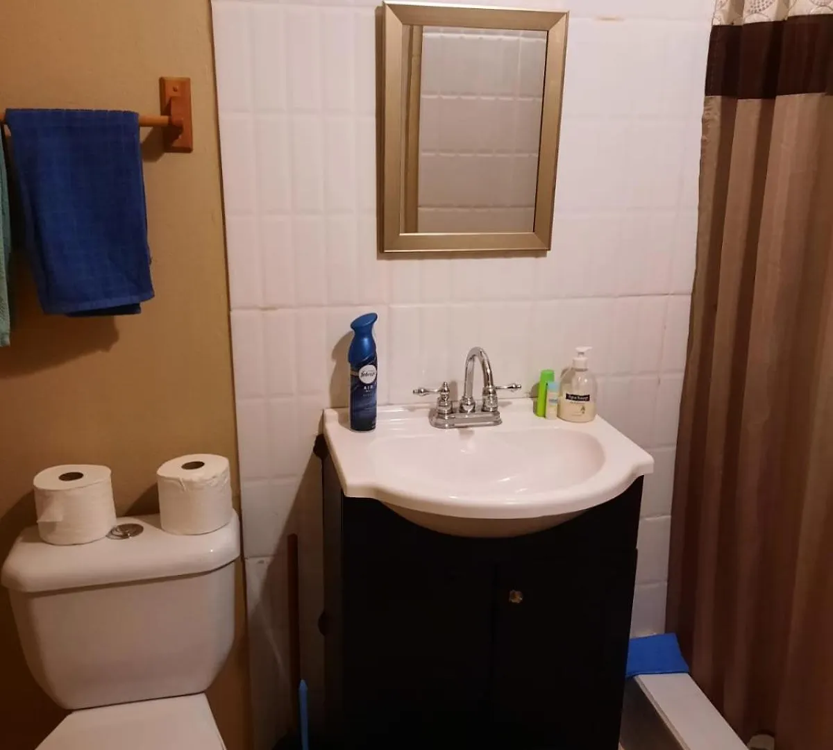 Windsor Apartment キングスタウン
